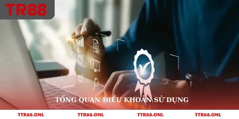 Tổng quan điều khoản sử dụng